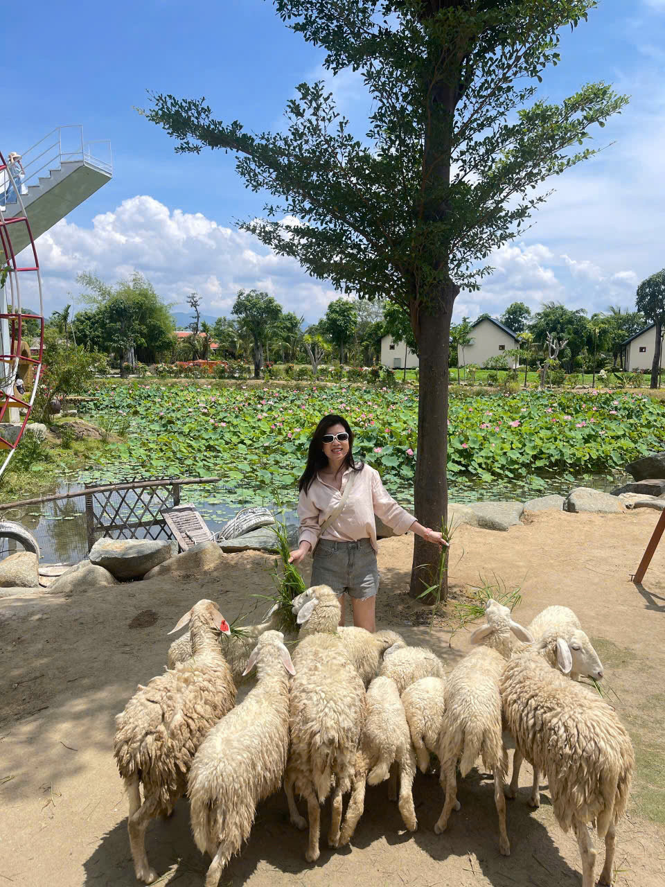 Tour Ninh Thuận